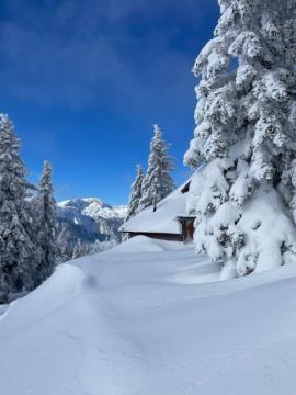 Ugodna smuka in nepozabna sankaška avantura na Veliki planini (2)